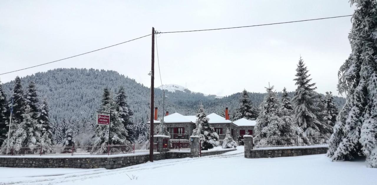 Φιλοξένια Studios Vytina Exterior photo